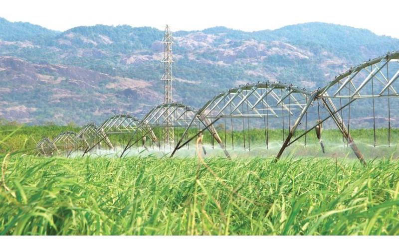 Ngành mía đường, “sân chơi” không dành cho kẻ yếu